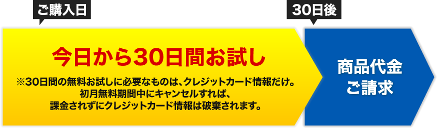 今日から30日間お試し